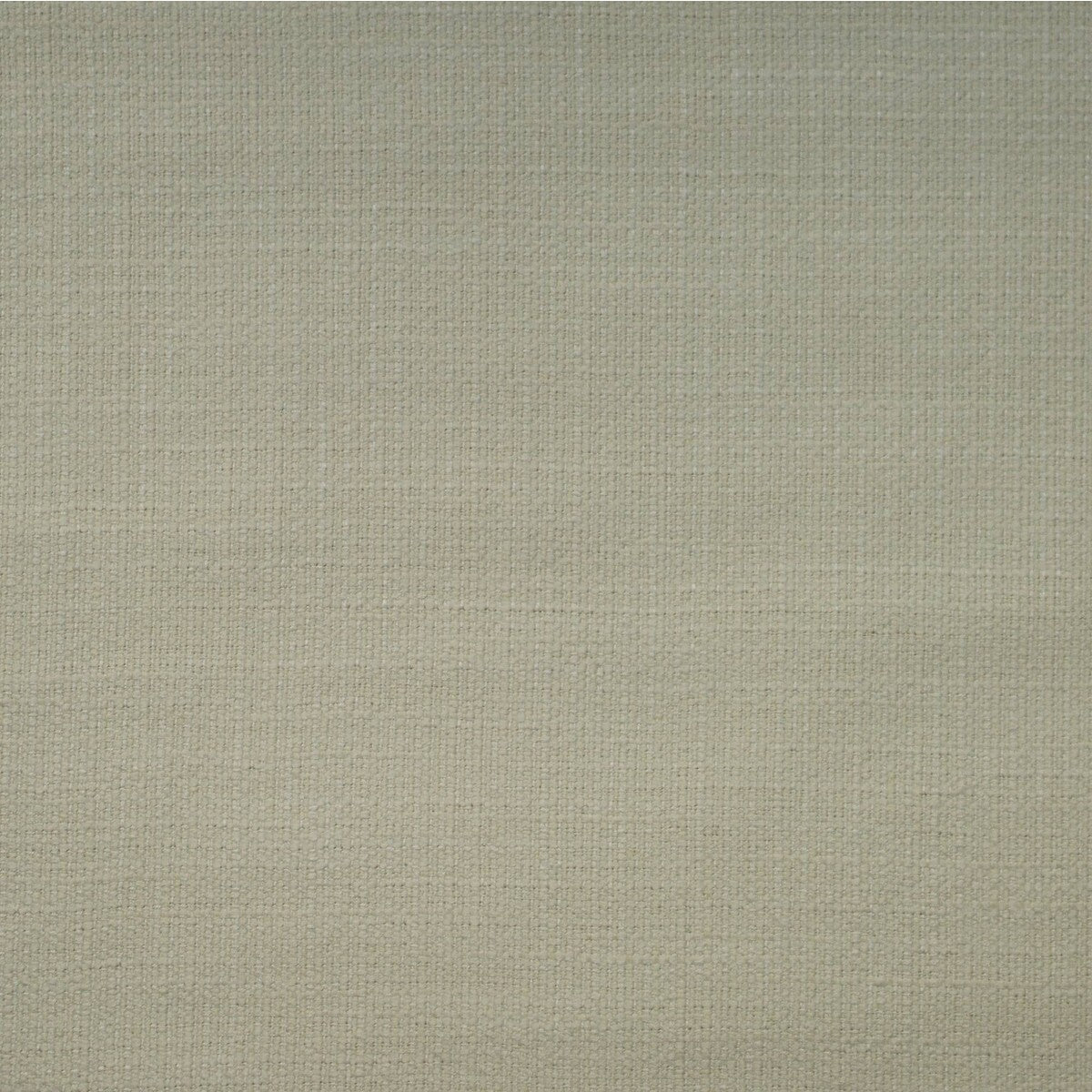 Hazel-Chalk