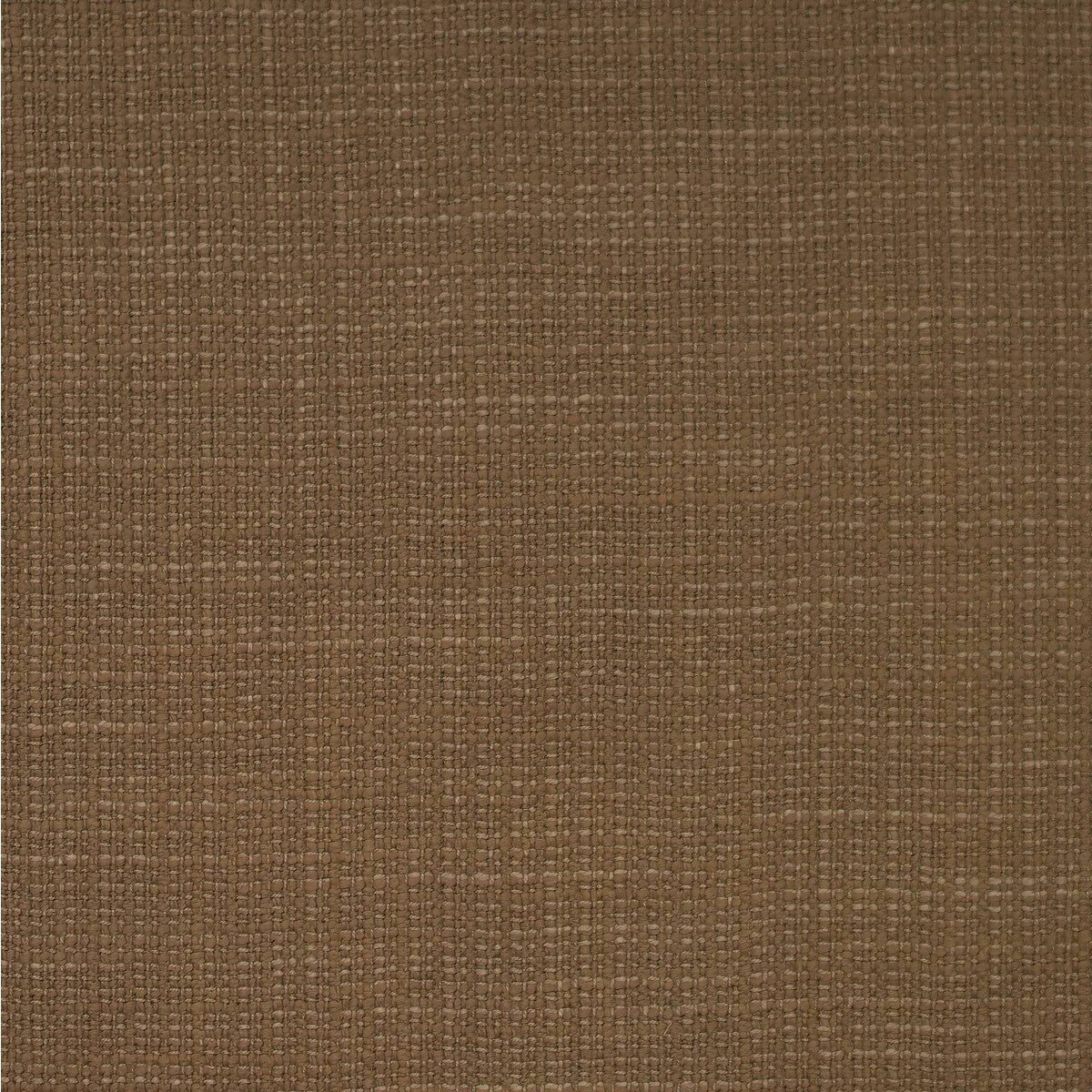 Hazel-Autumn