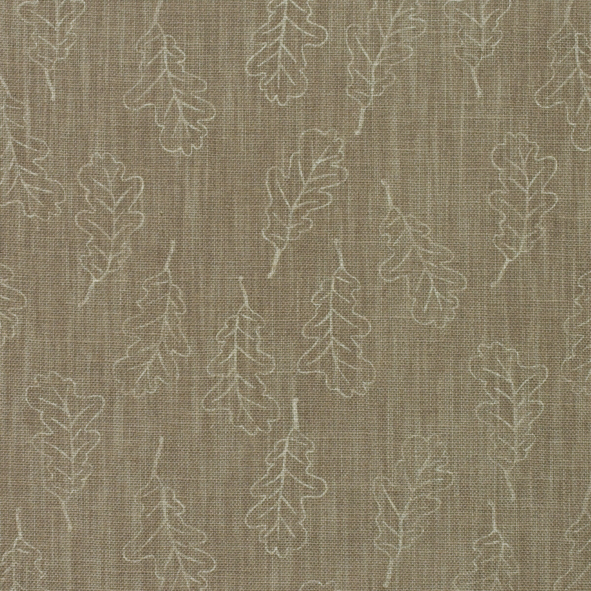 Noble Oak-Twig
