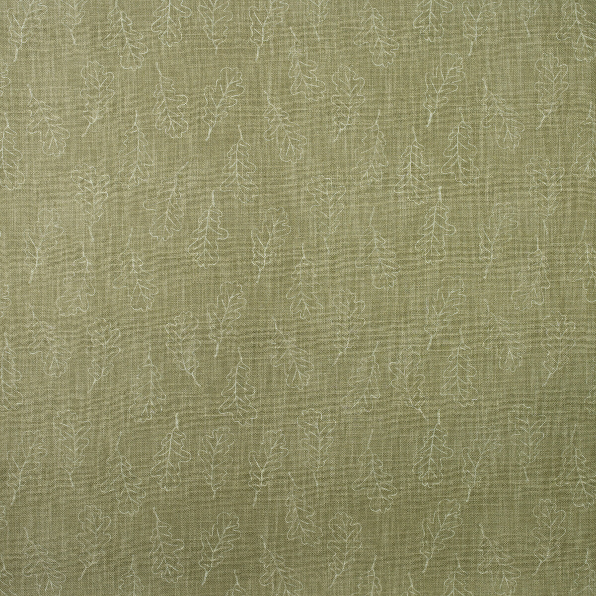 Noble Oak-Lichen
