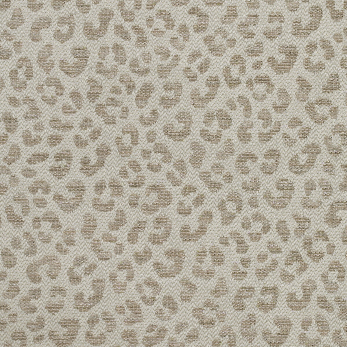 Wildcat-Stone