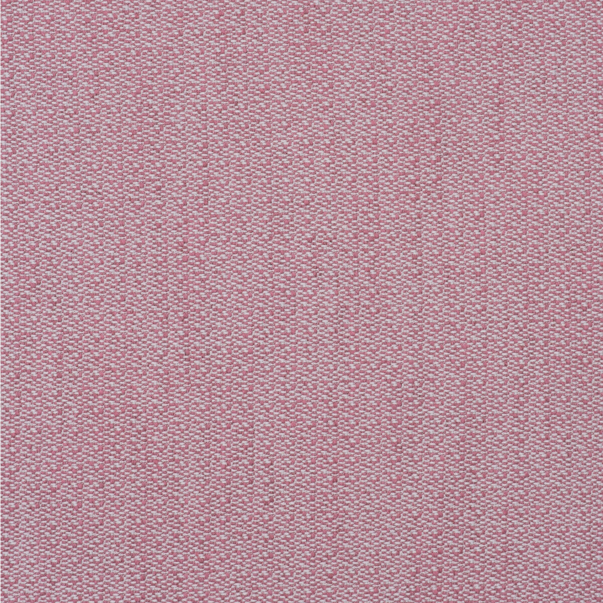 Ravello-Pink