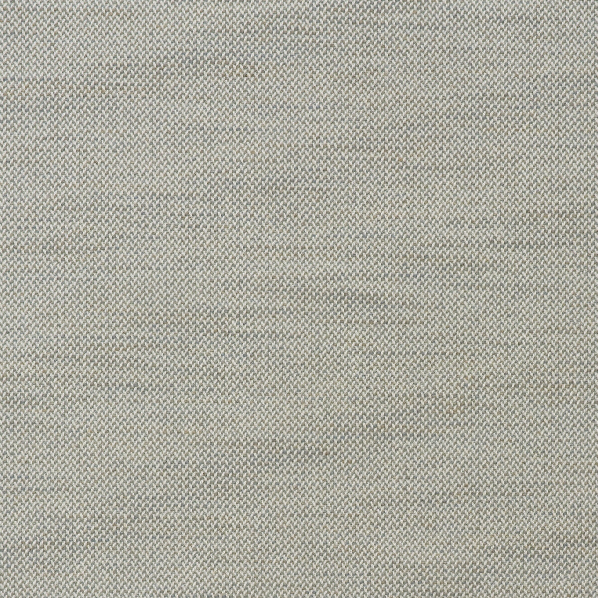 Rowboat-Gull