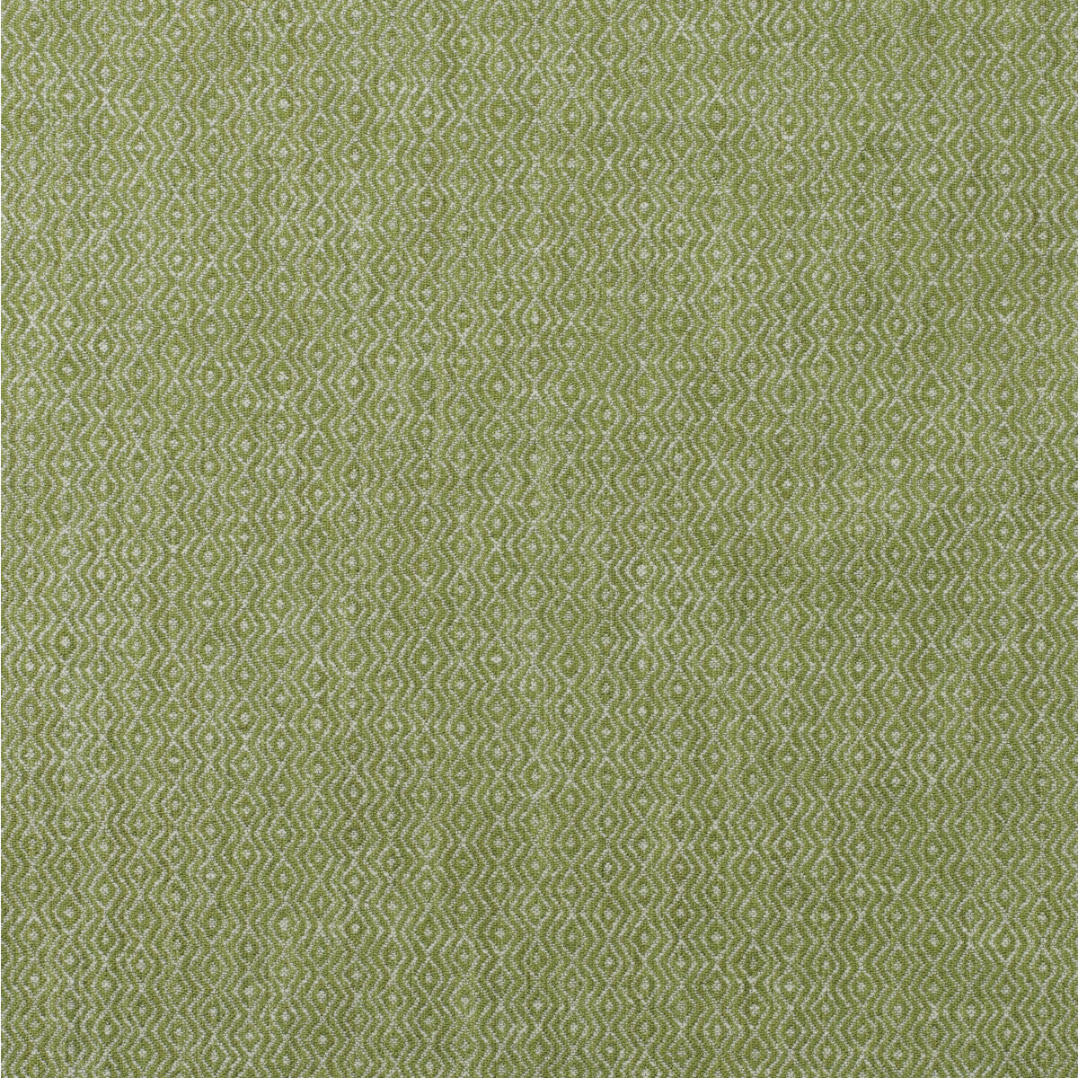 Riverbank-Reed