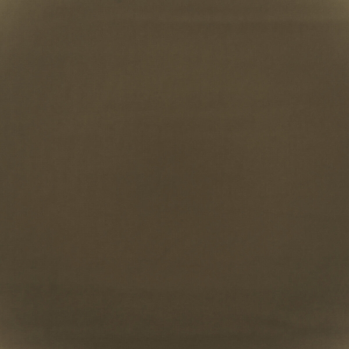 Medici-Warm Grey
