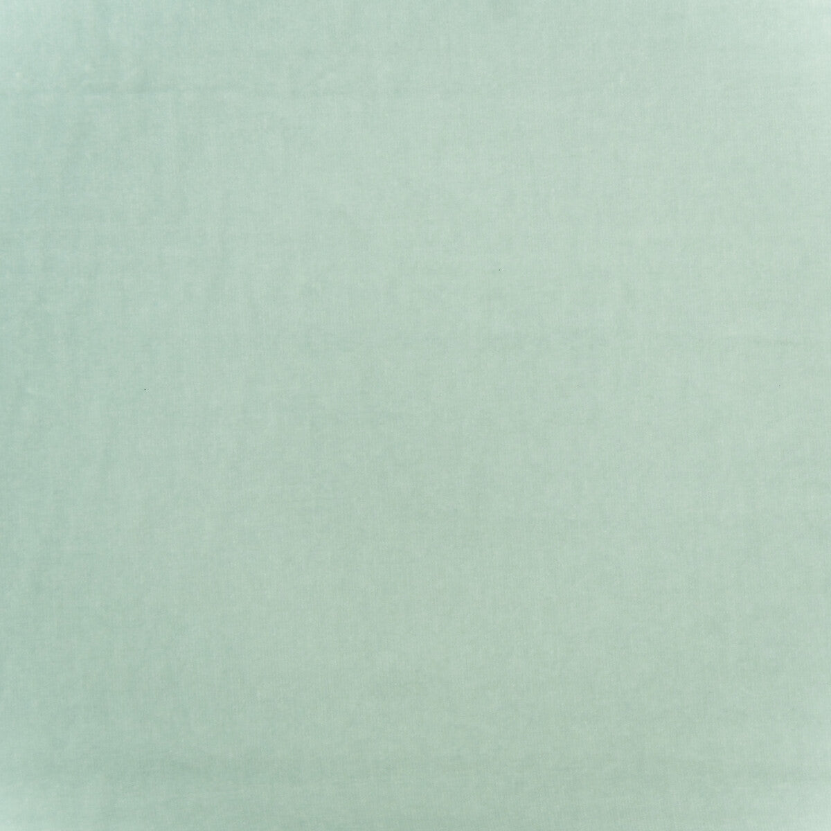 Medici-Chemise