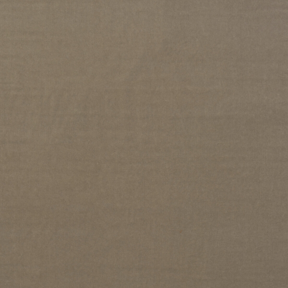 Medici-Stone
