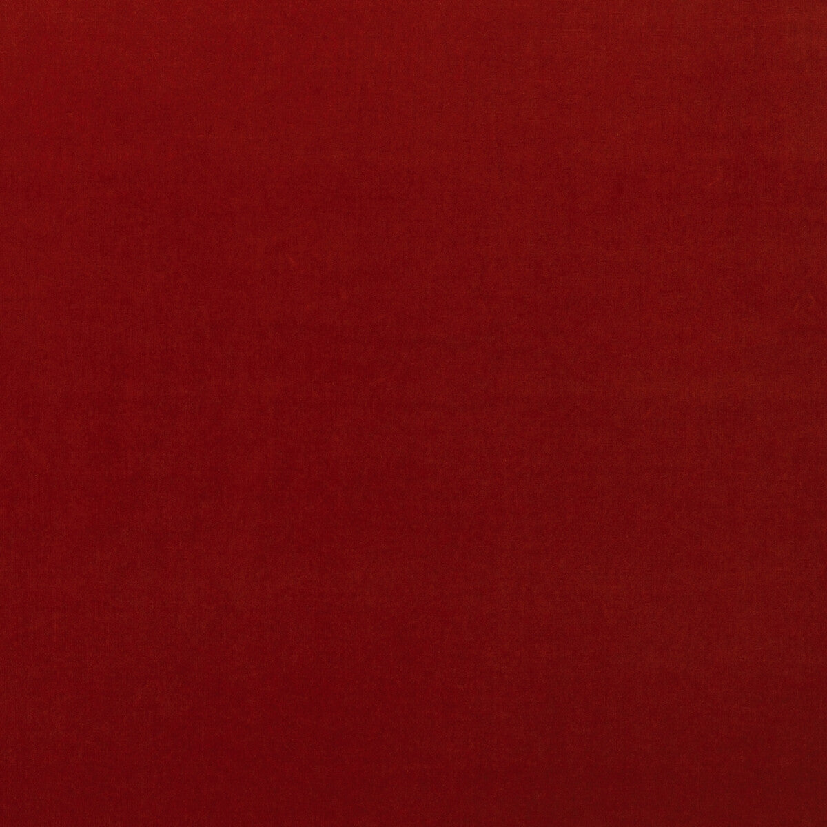 Medici-Raw Umber
