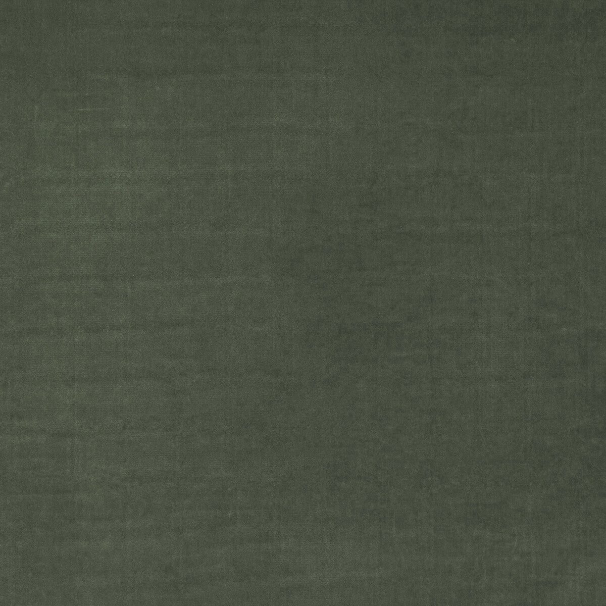 Medici-Slate