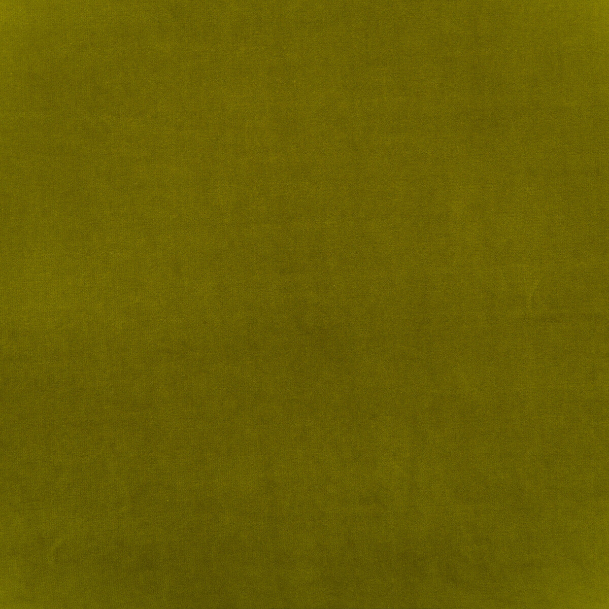 Medici-Pear
