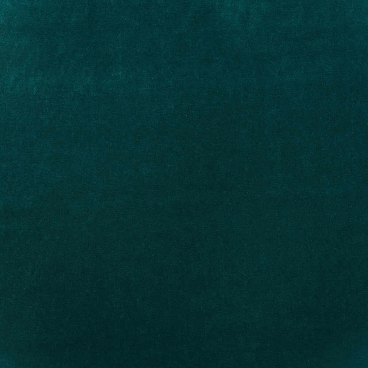 Medici-Kingfisher