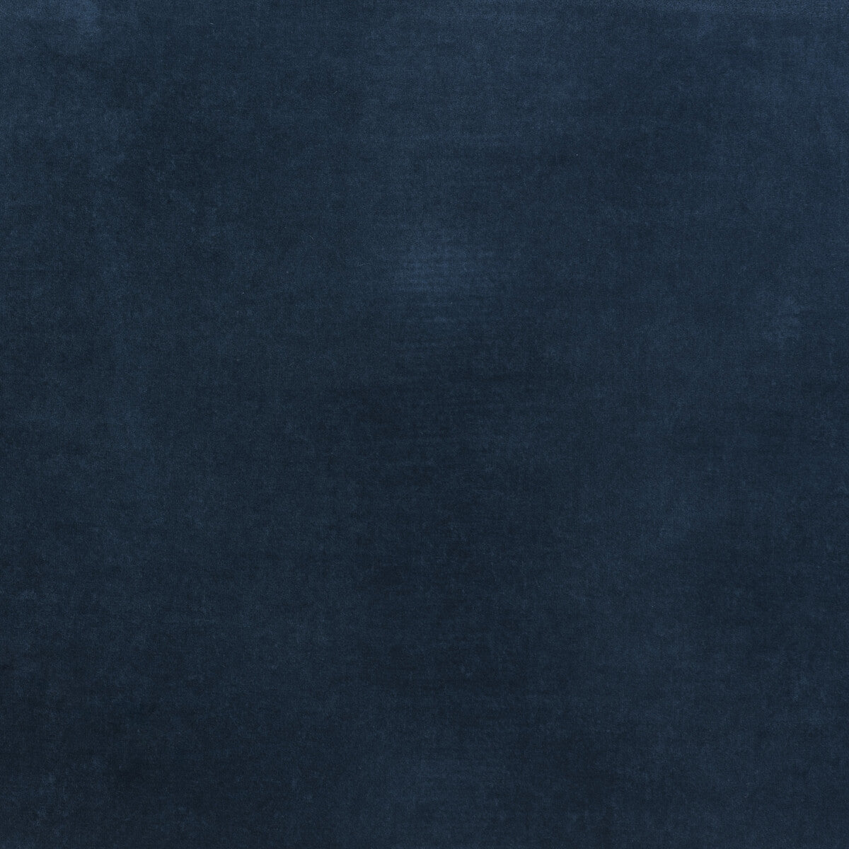 Medici-Indigo