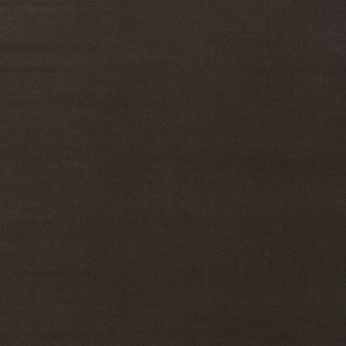 Medici-Taupe