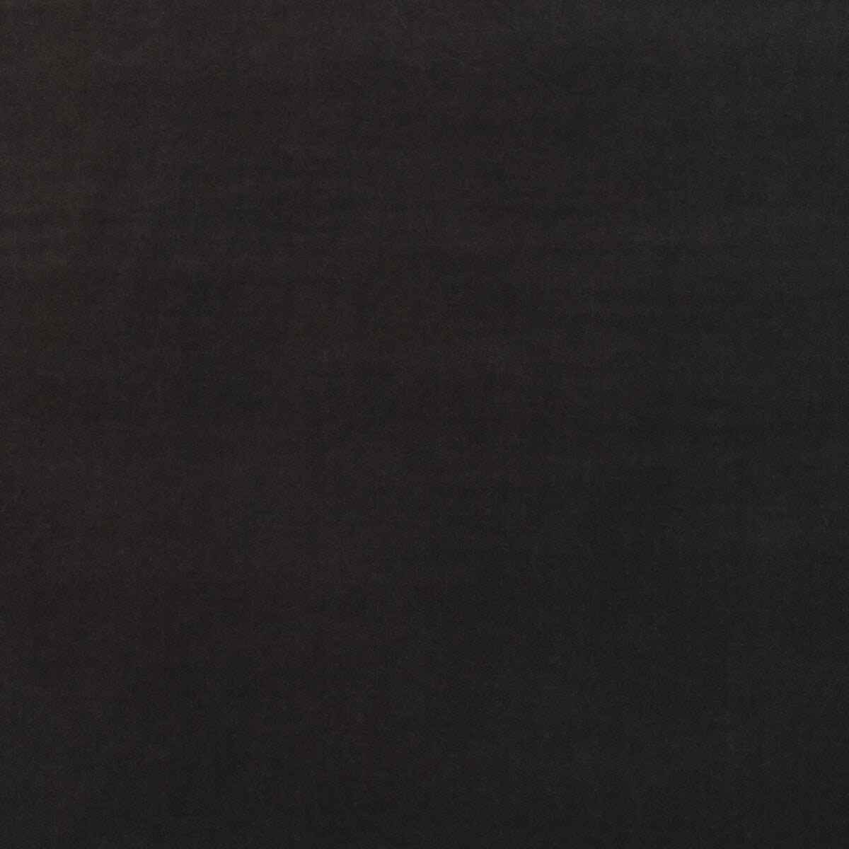 Medici-Charcoal