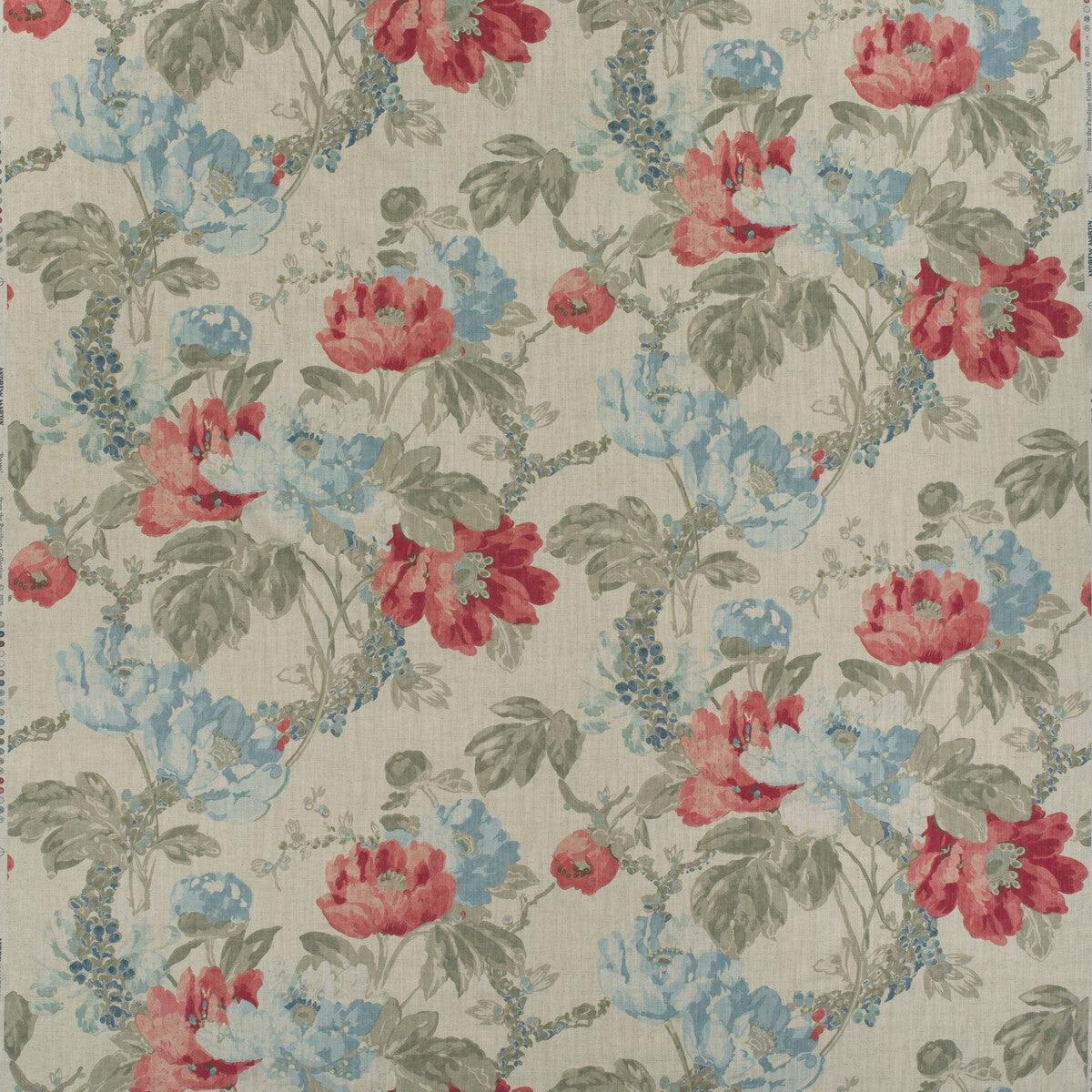 Peony-Sea Coral