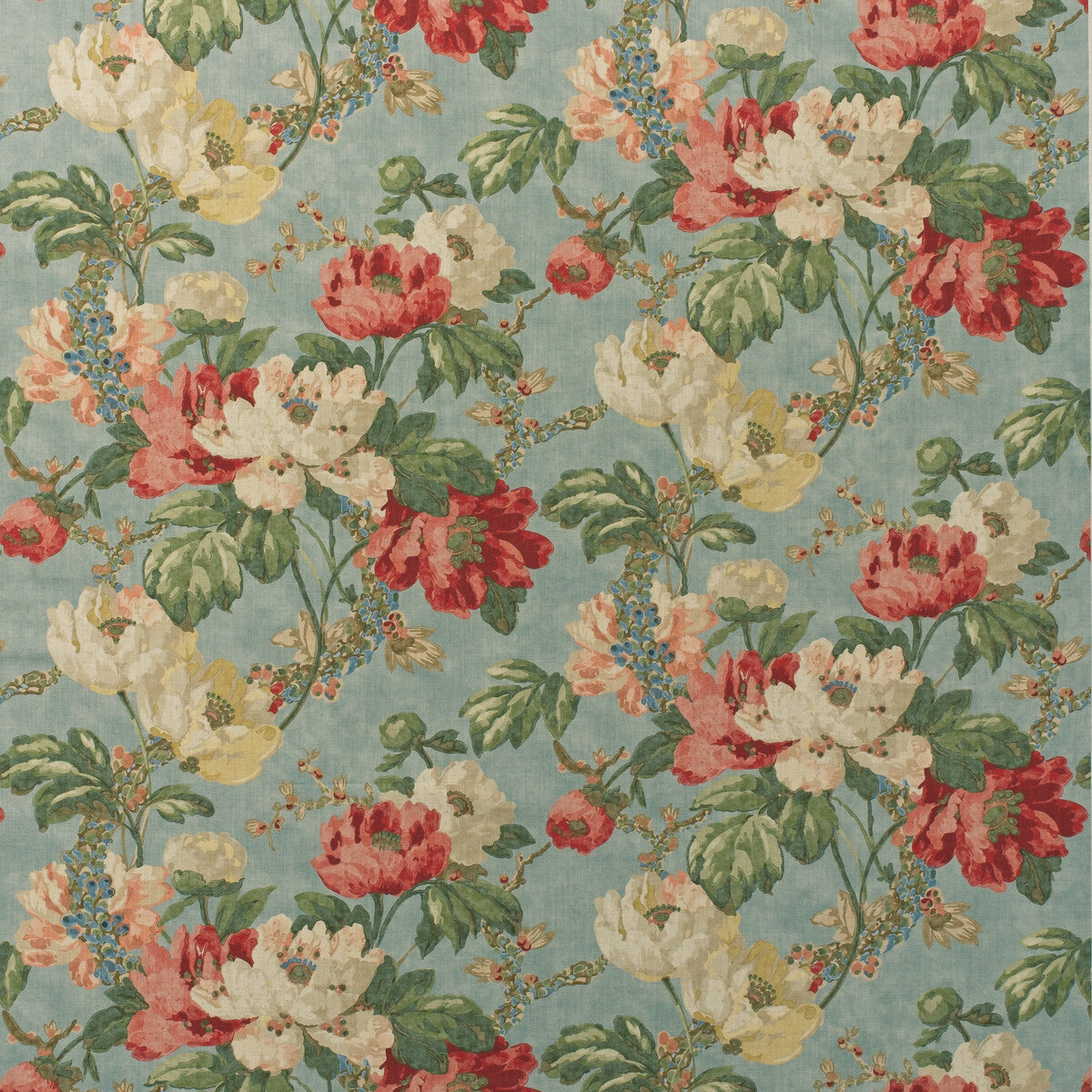 Peony-Summer Sky