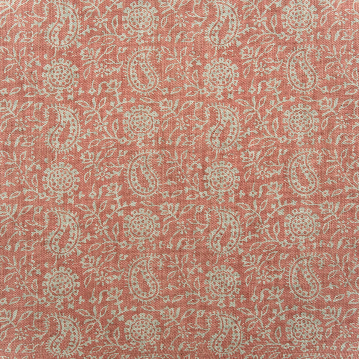 Sunflower-Coral