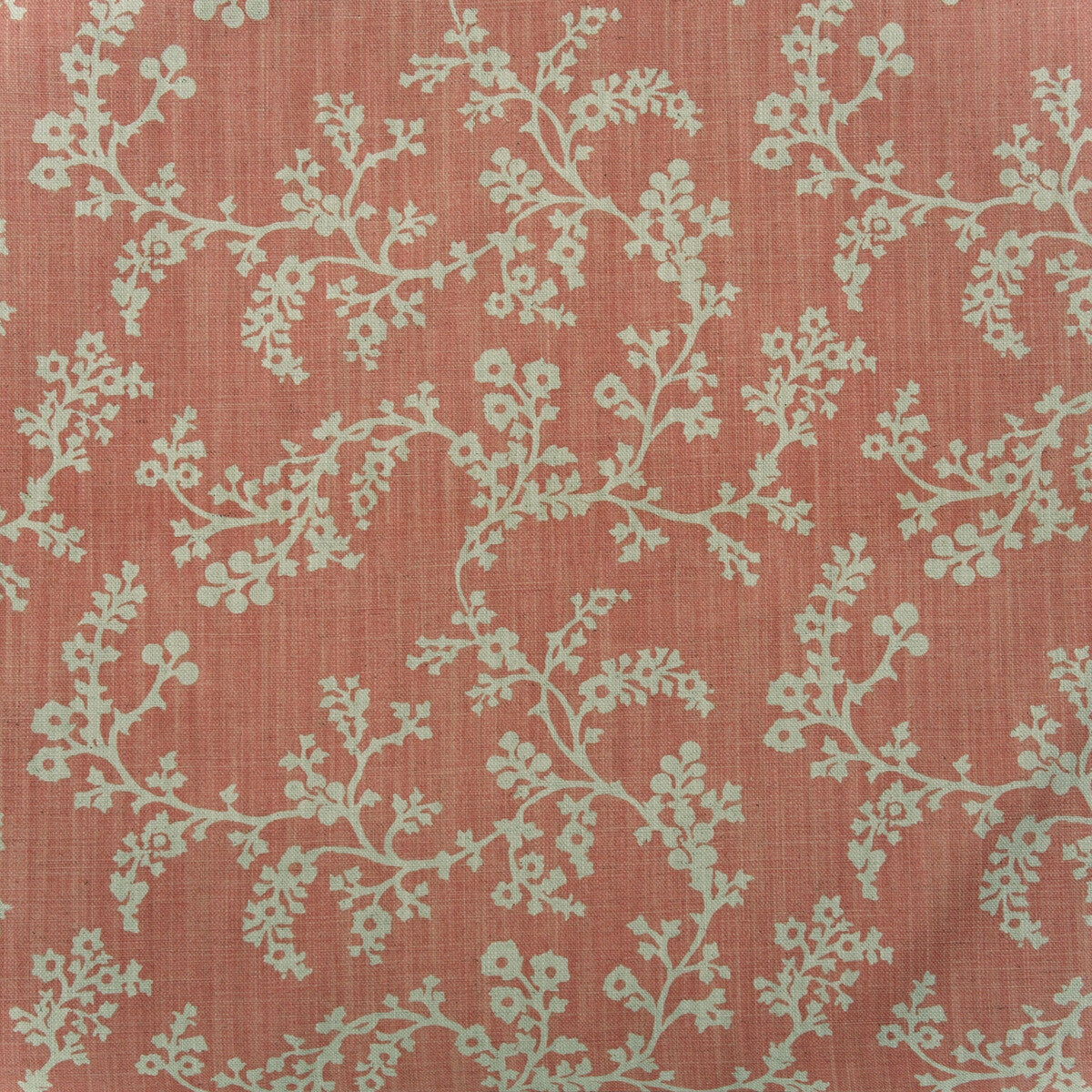 Vine-Coral