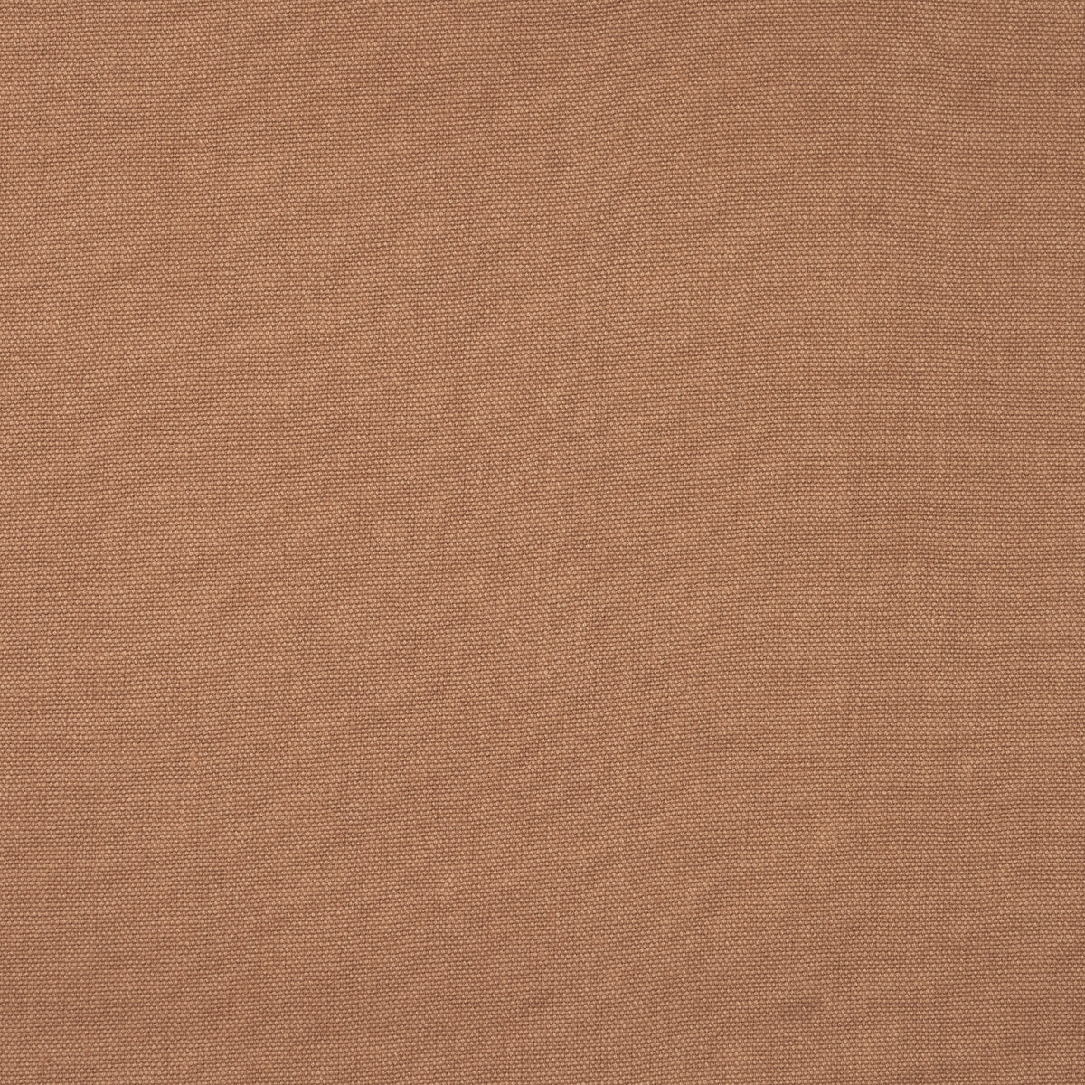 Rocco-Plaster