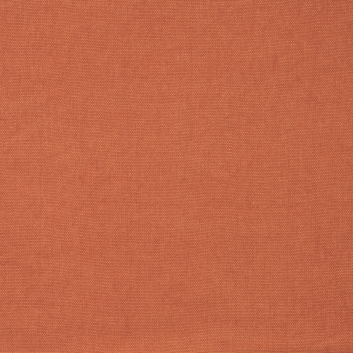 Rocco-Orange