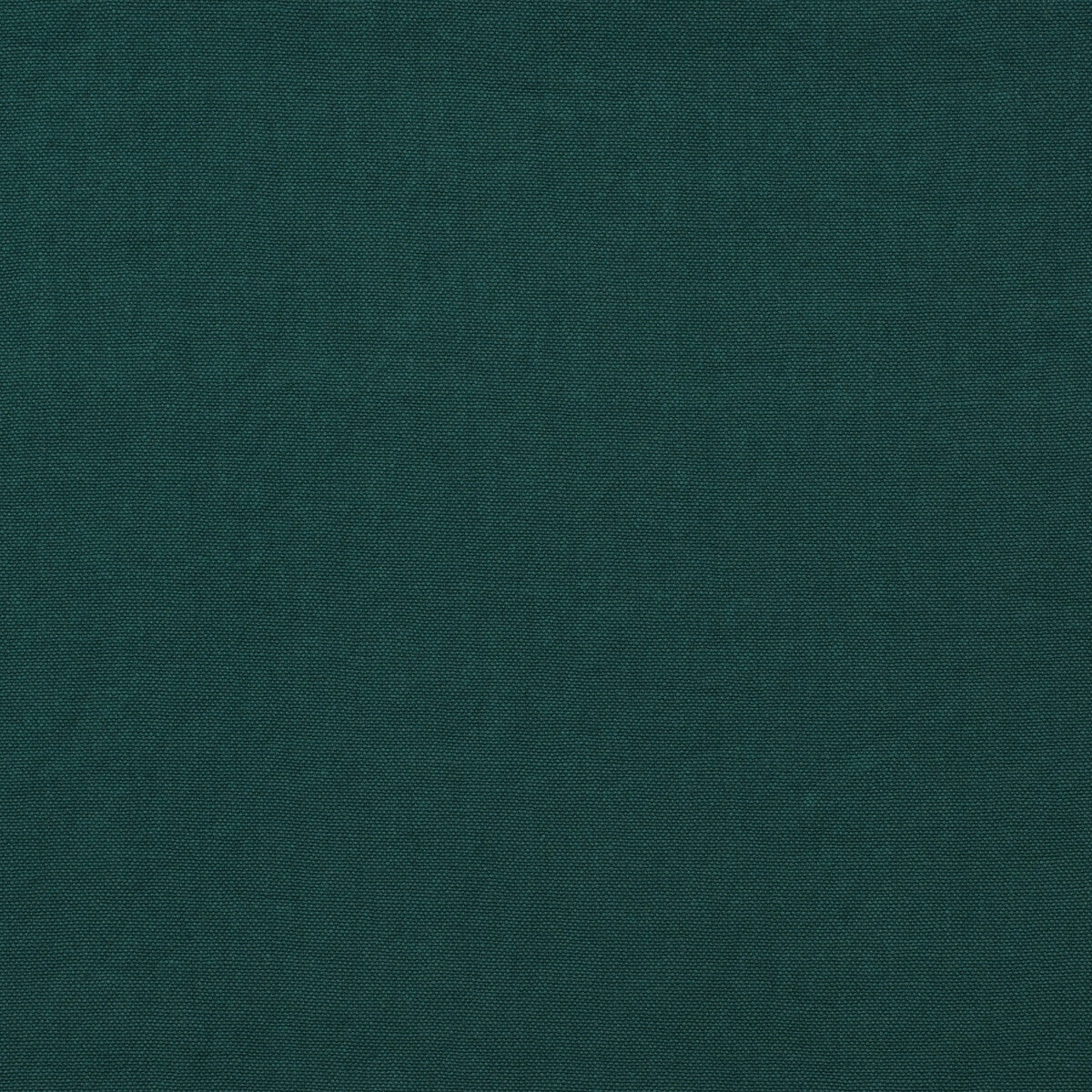 Rocco-Teal