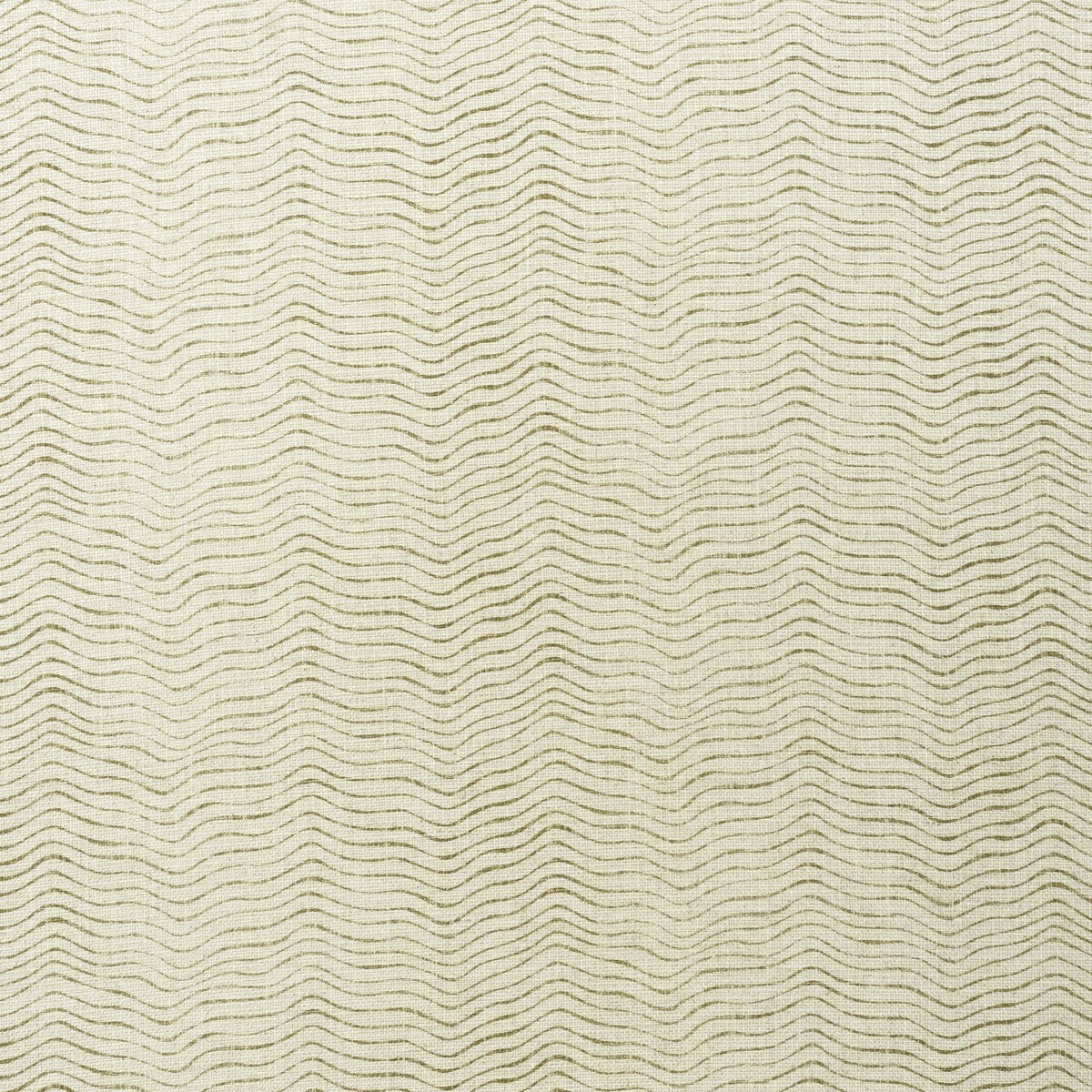 Canalasso-Olive