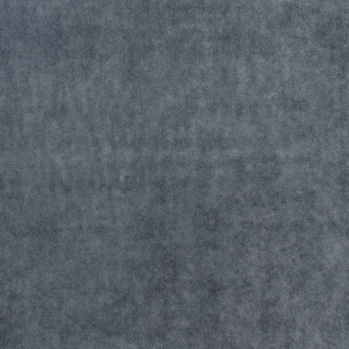 Venetia-Denim