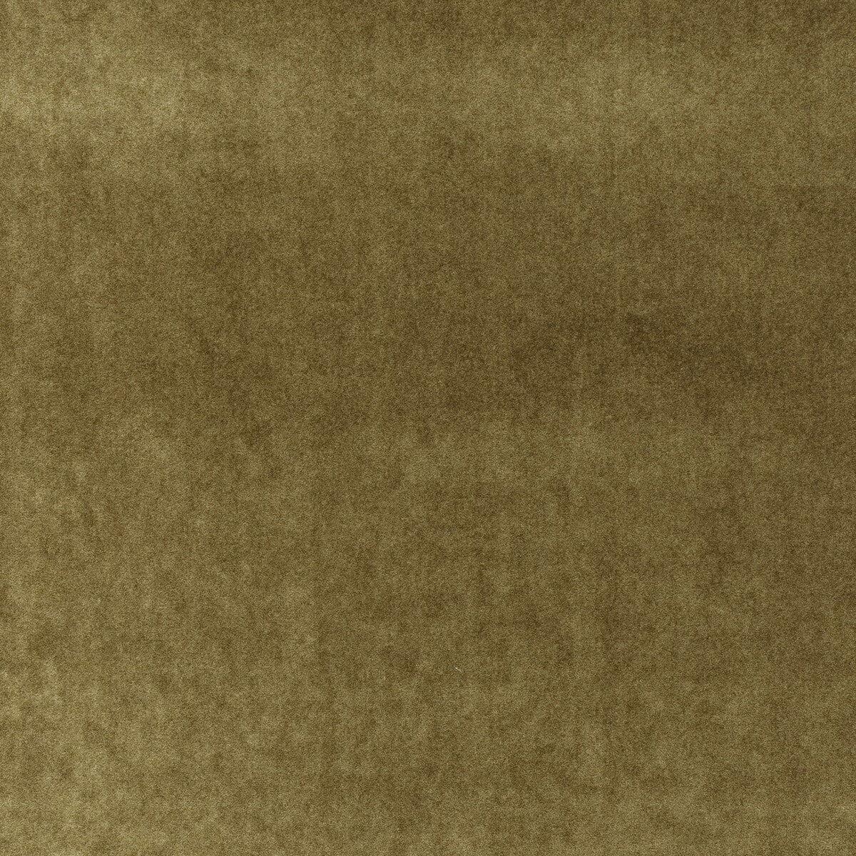 Venetia-Bronze