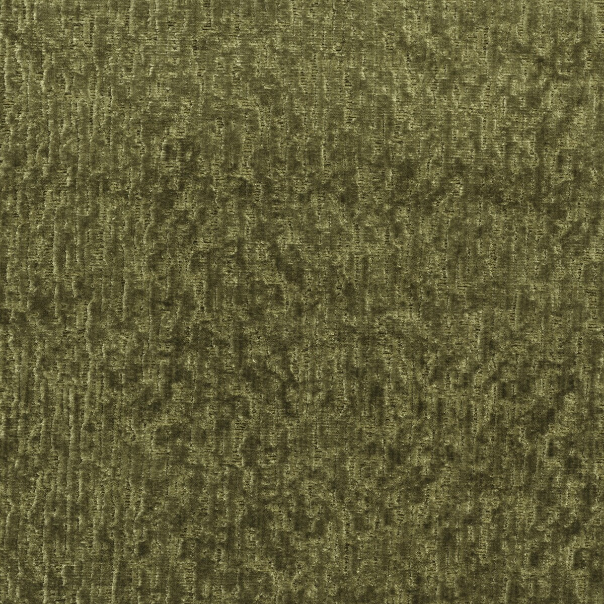 Roma-Olive