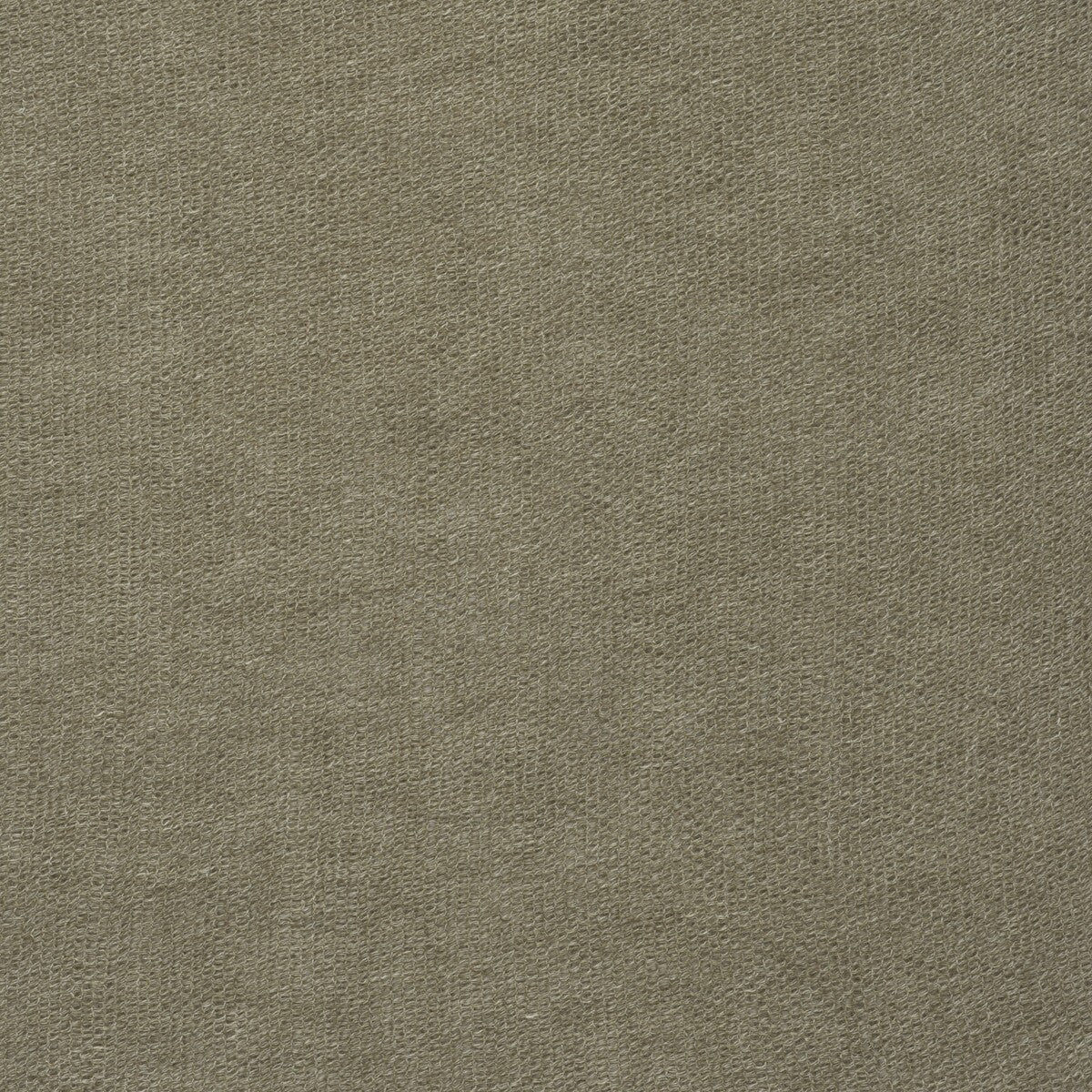 Salerno-Bronze