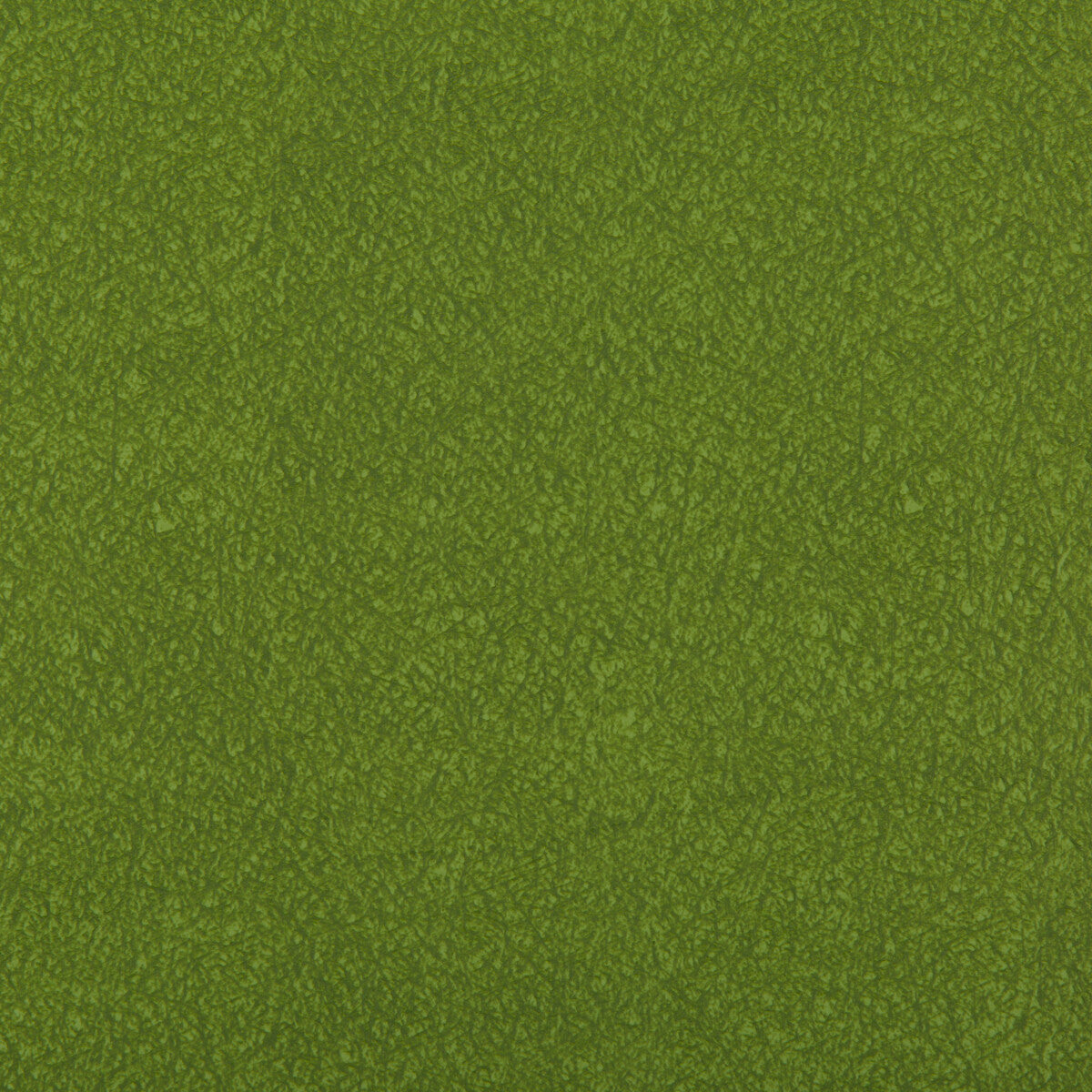 Ames-Moss