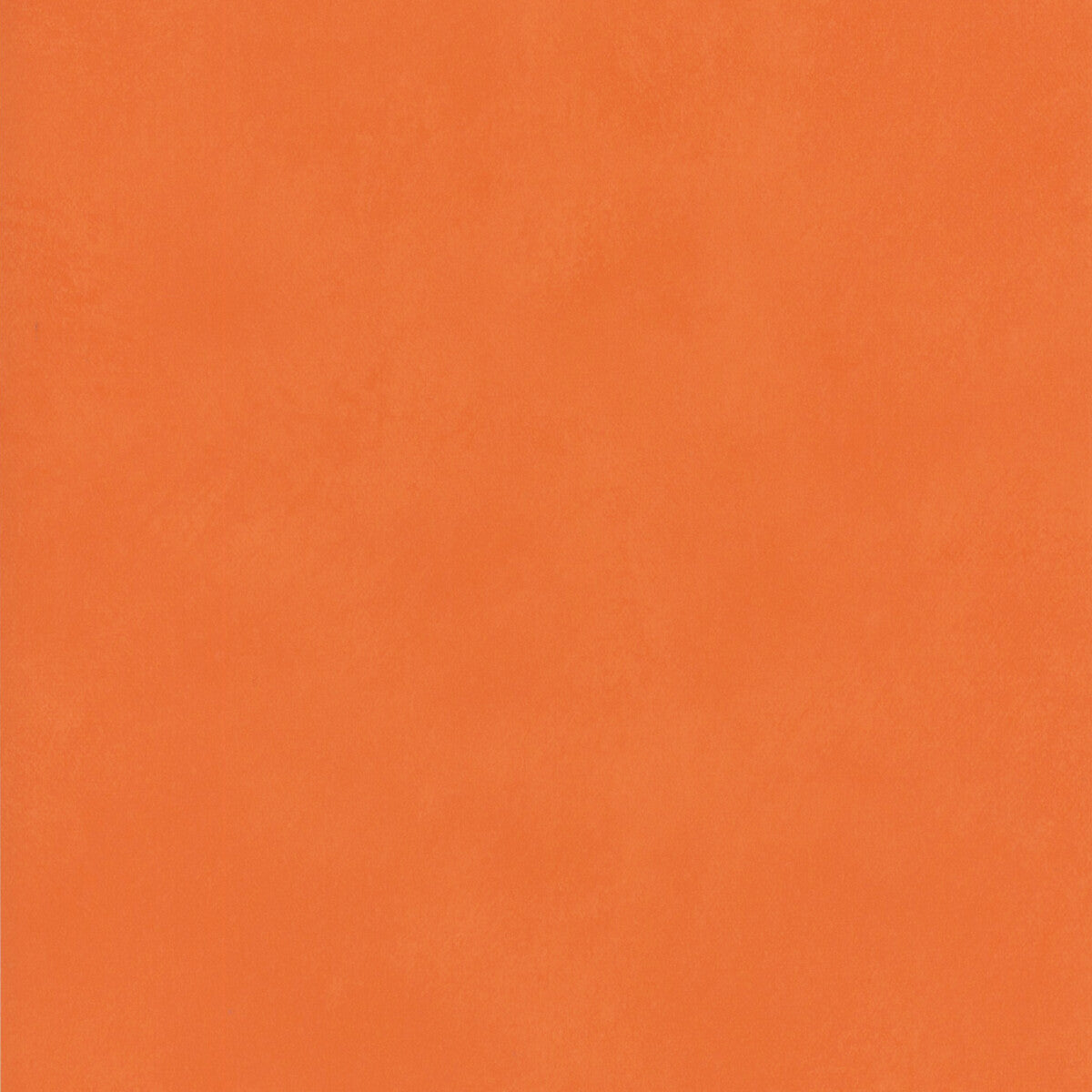Japan-Melon