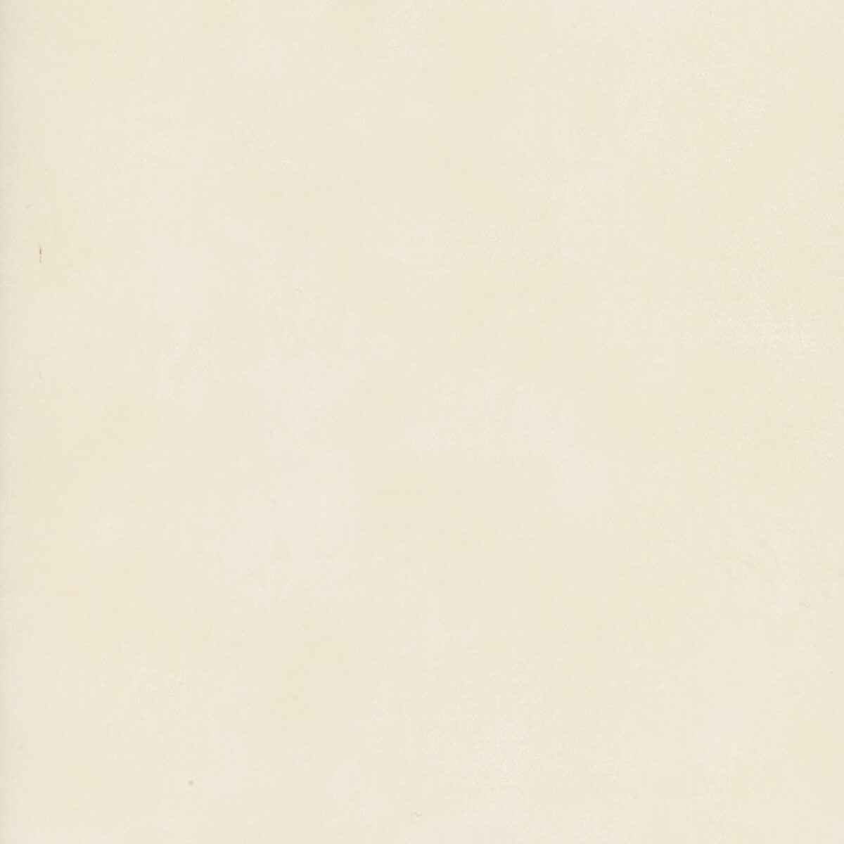 Japan-Ivory