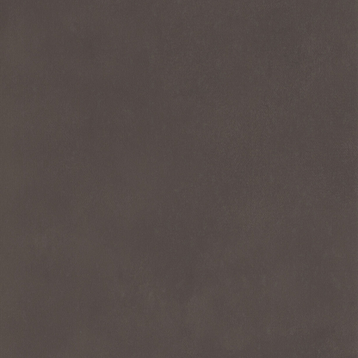 Japan-Charcoal