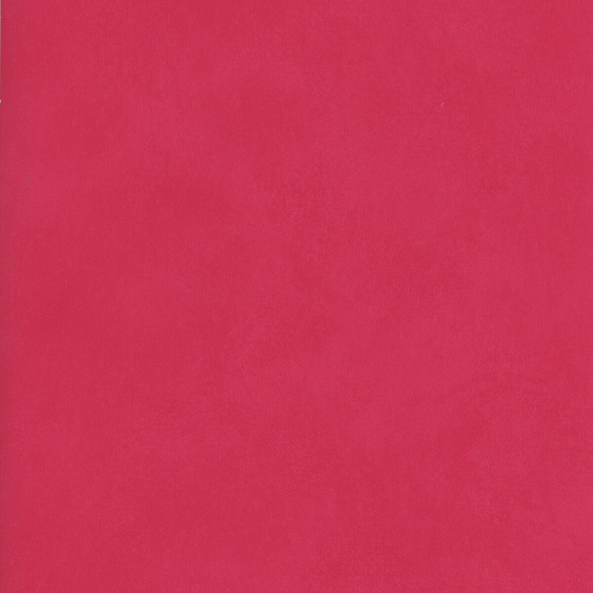 Japan-Indian Pink