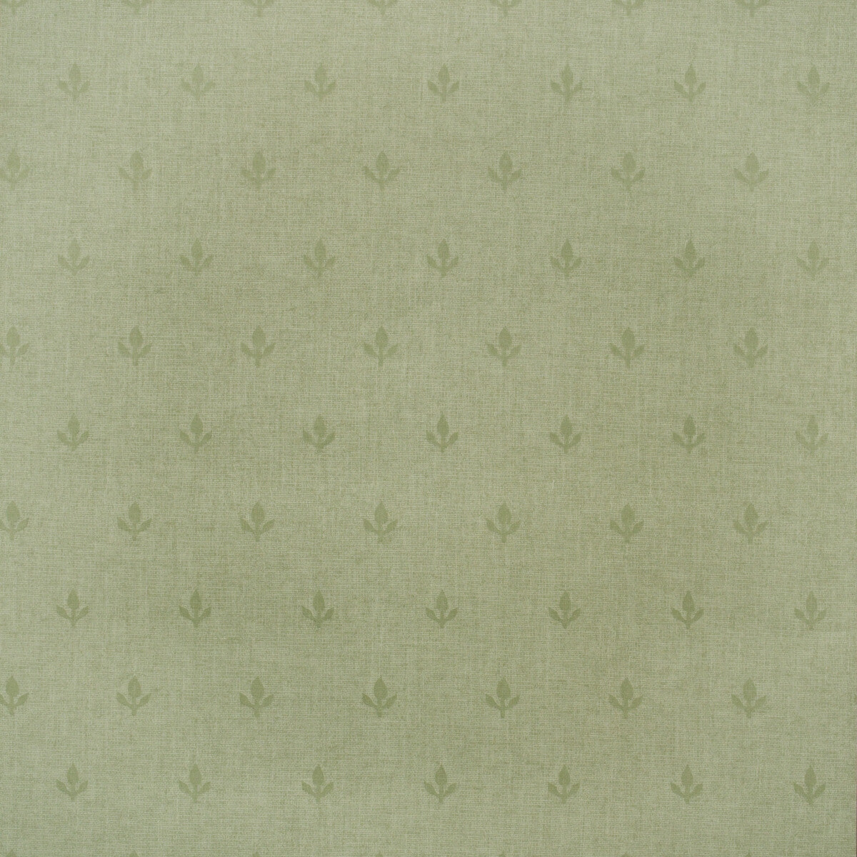 Crocus-Leaf