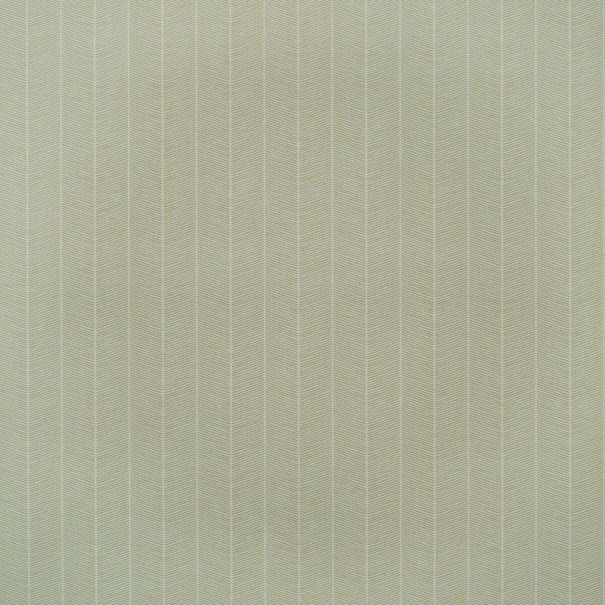 Hornbeam-Leaf