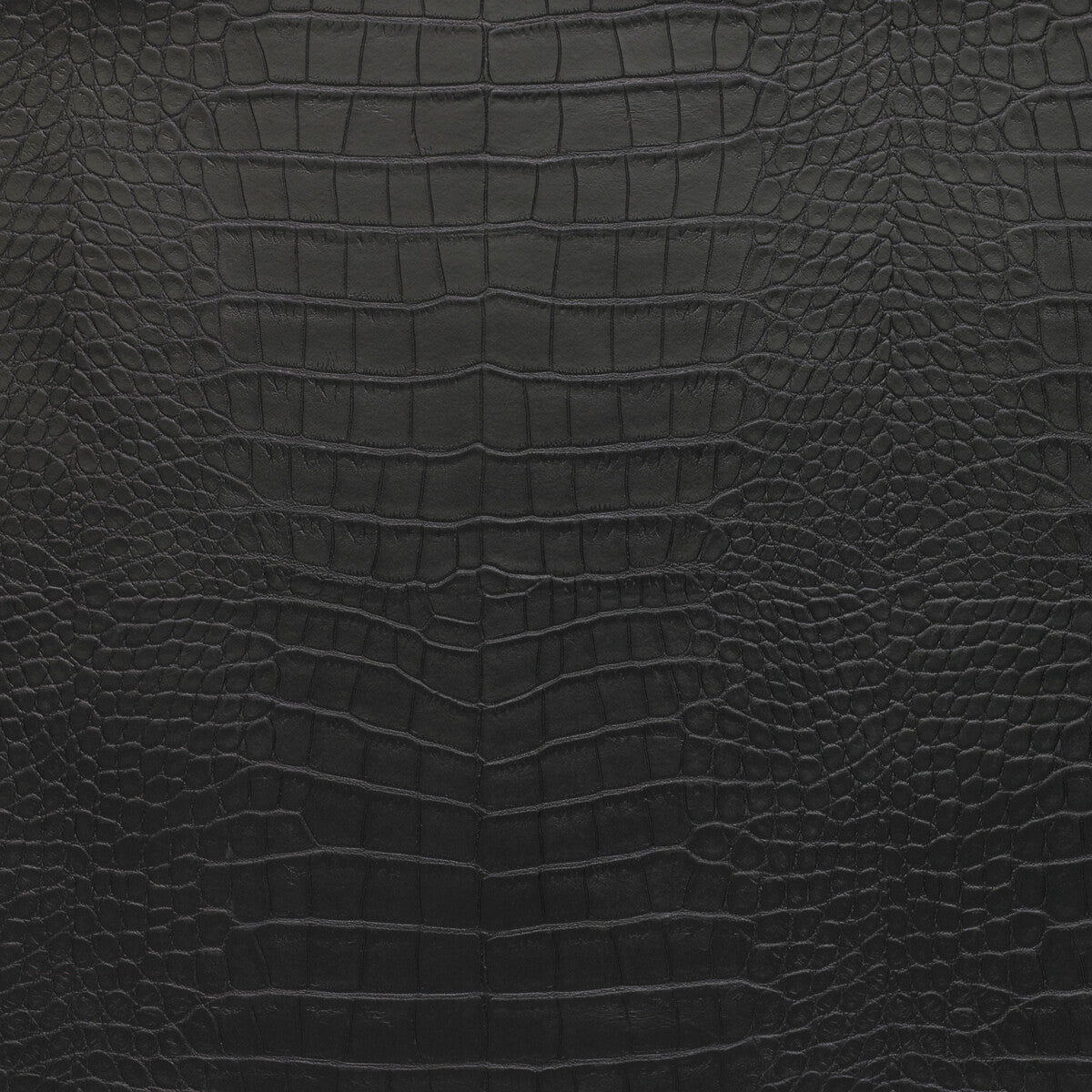 Kravet Design-Ankora-8