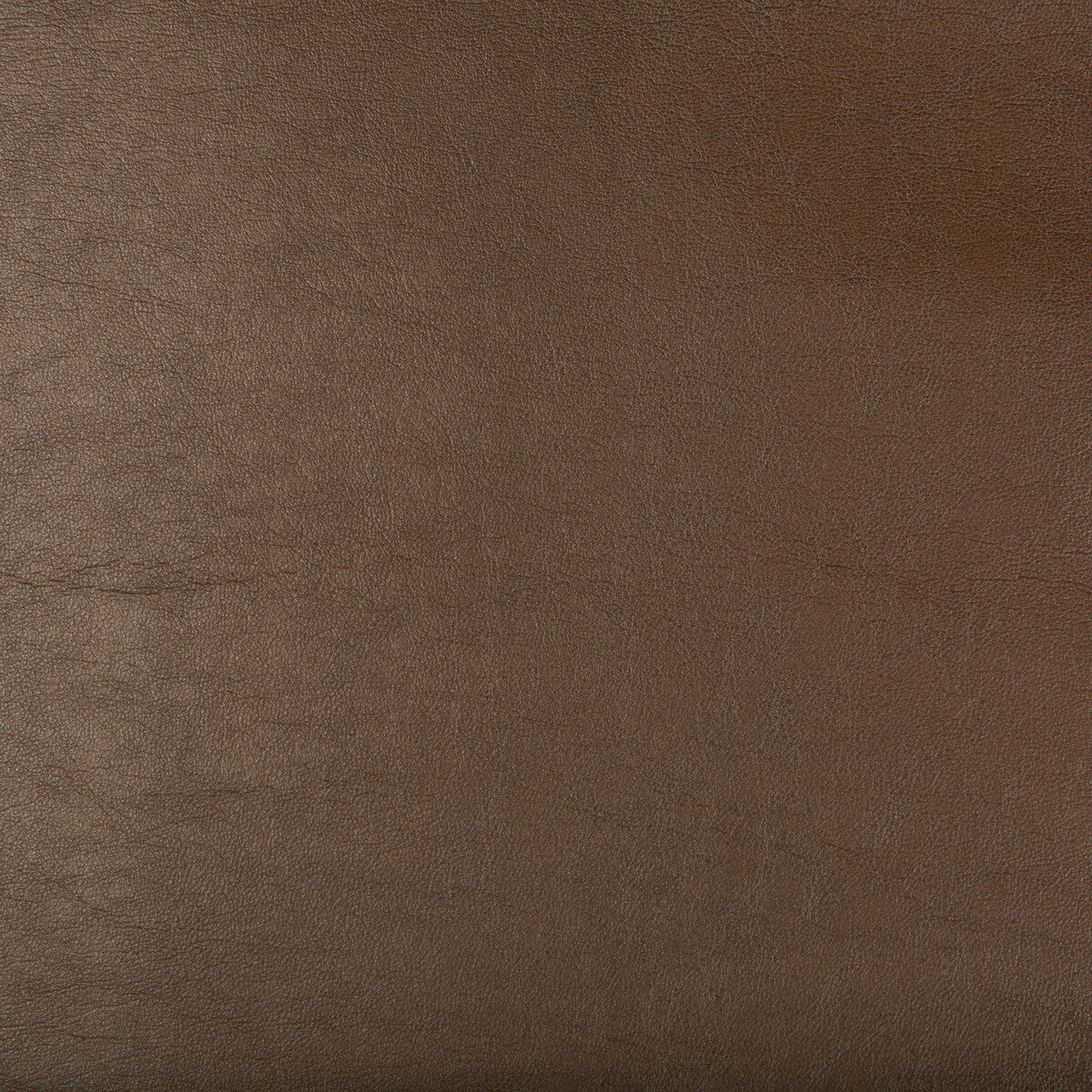 Kravet Design-Aristides-66