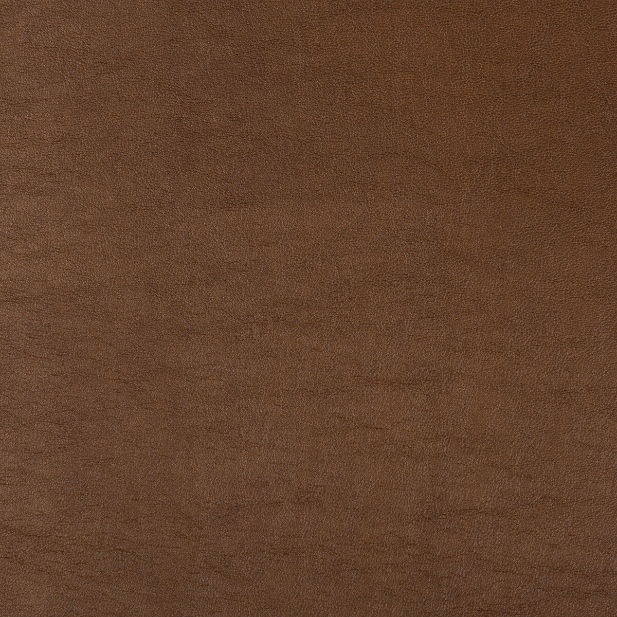 Kravet Design-Aristides-6
