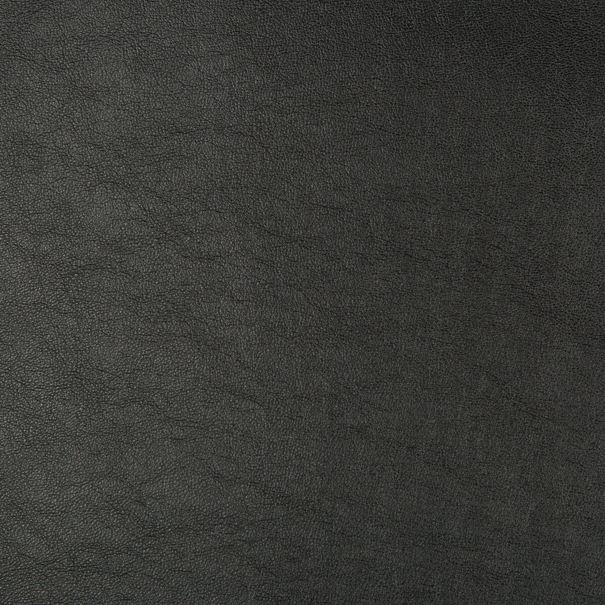 Kravet Design-Aristides-8