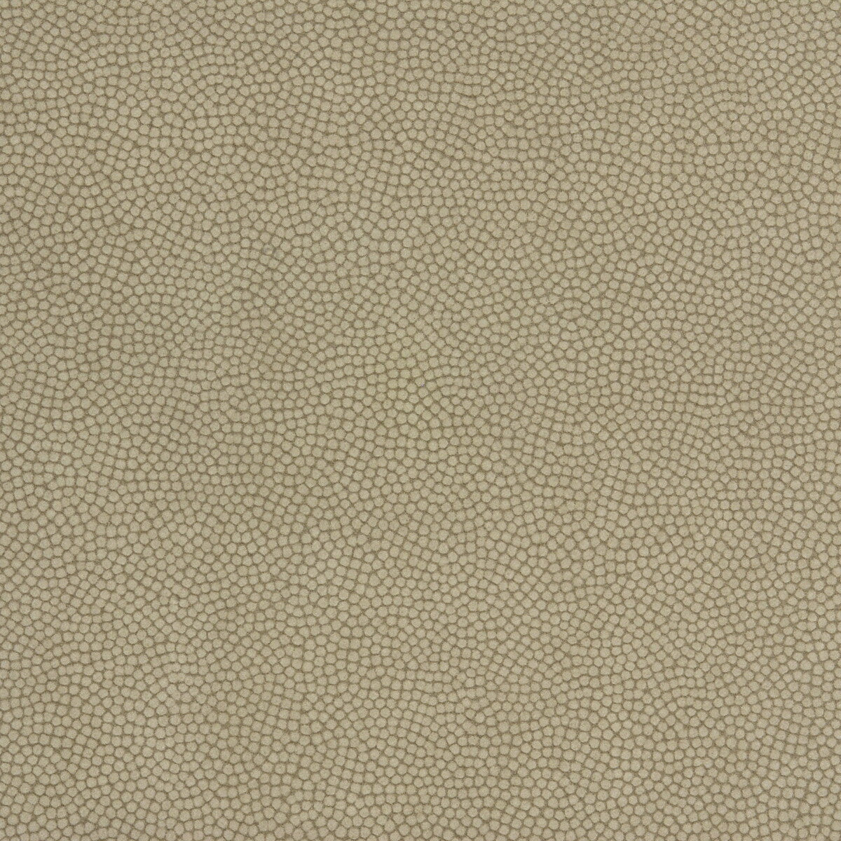 Beautymark-Greystone