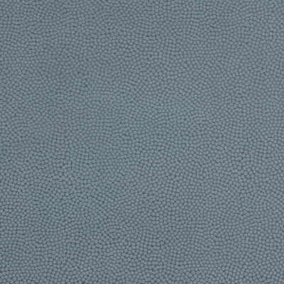 Beautymark-Shale