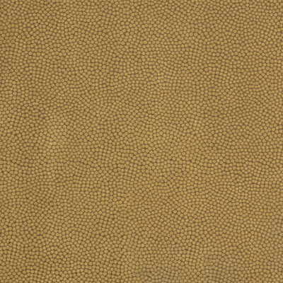 Beautymark-Teak