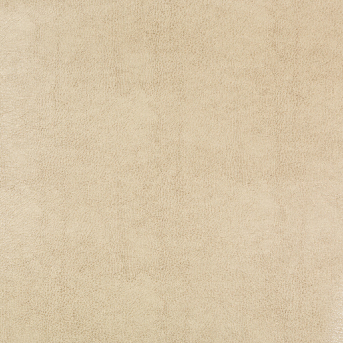 Kravet Design-Beholder-116