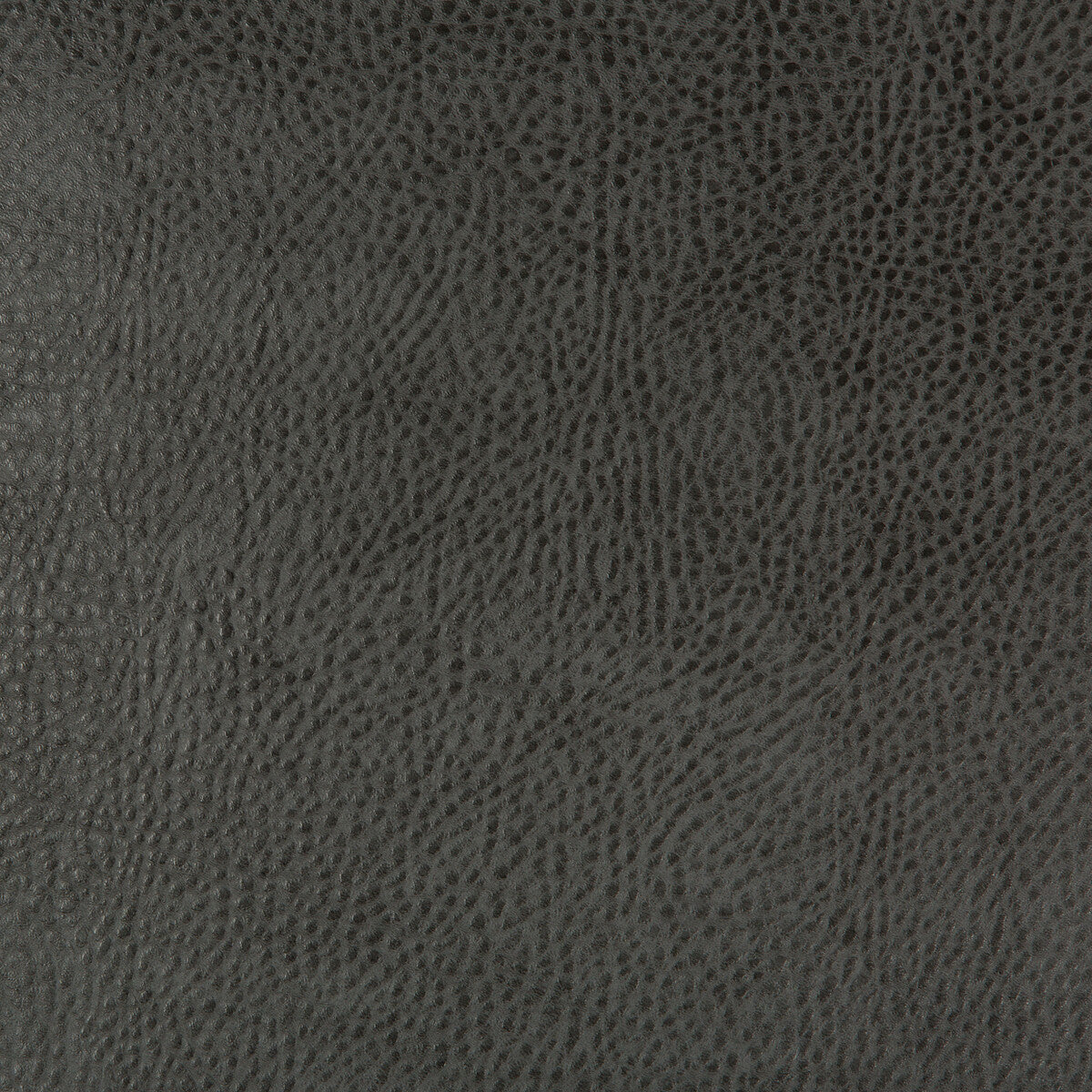 Kravet Design-Beholder-21