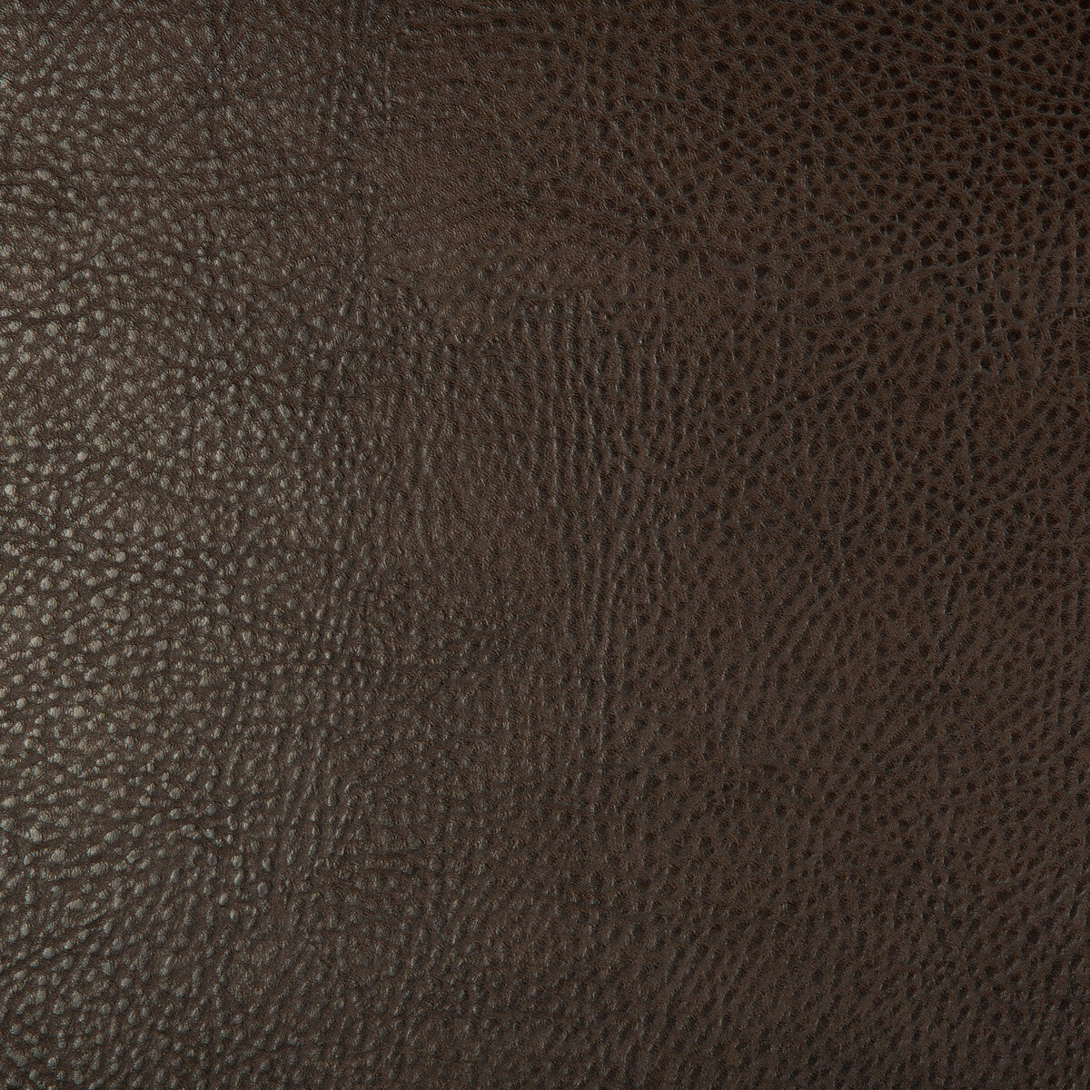 Kravet Design-Beholder-6