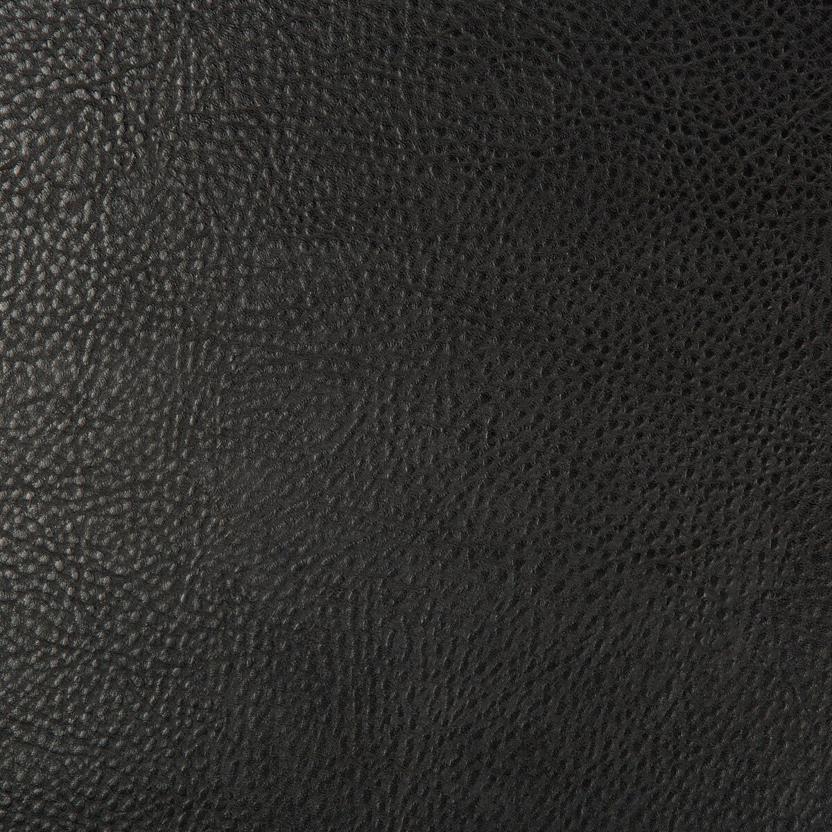Kravet Design-Beholder-8