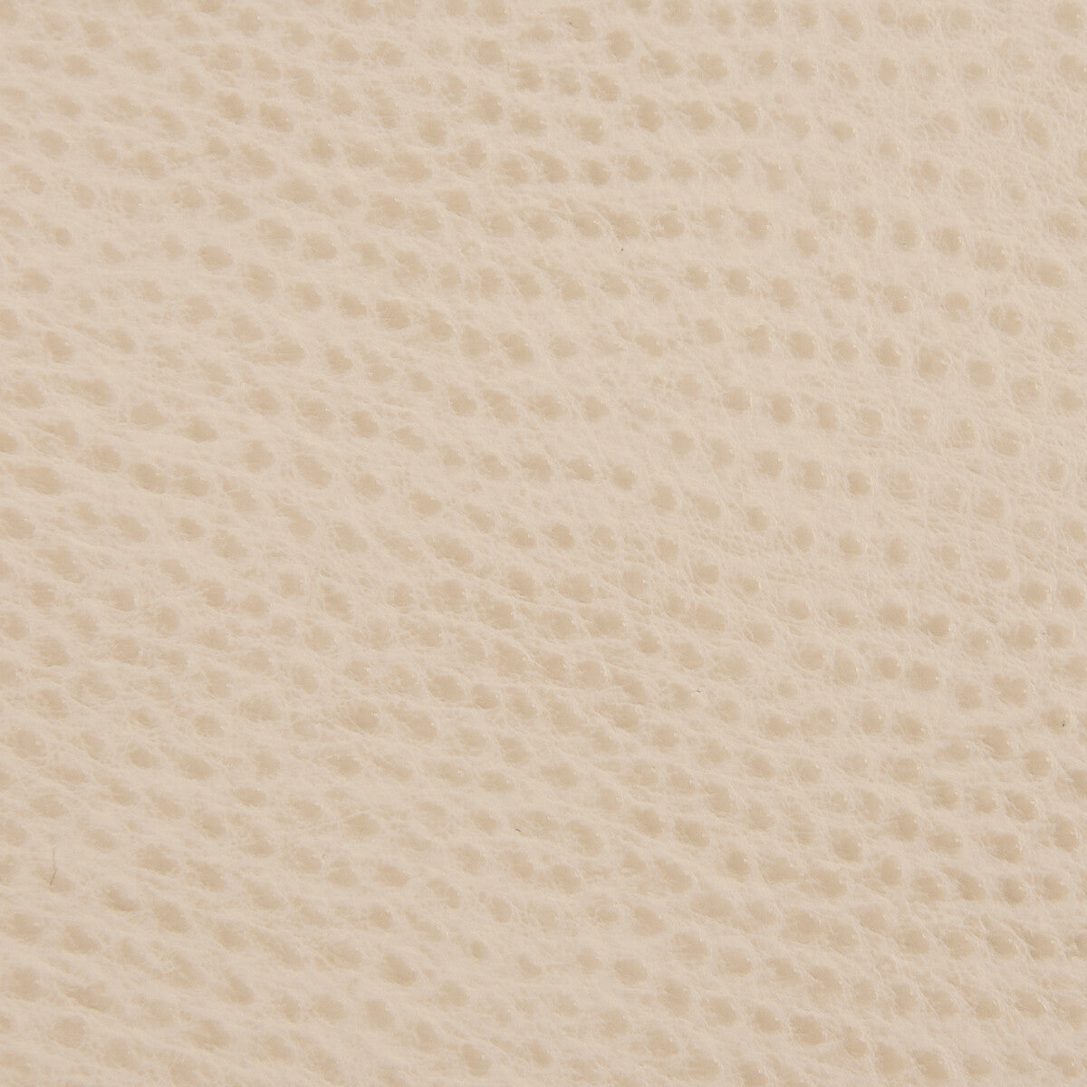 Kravet Contract-Belus-16