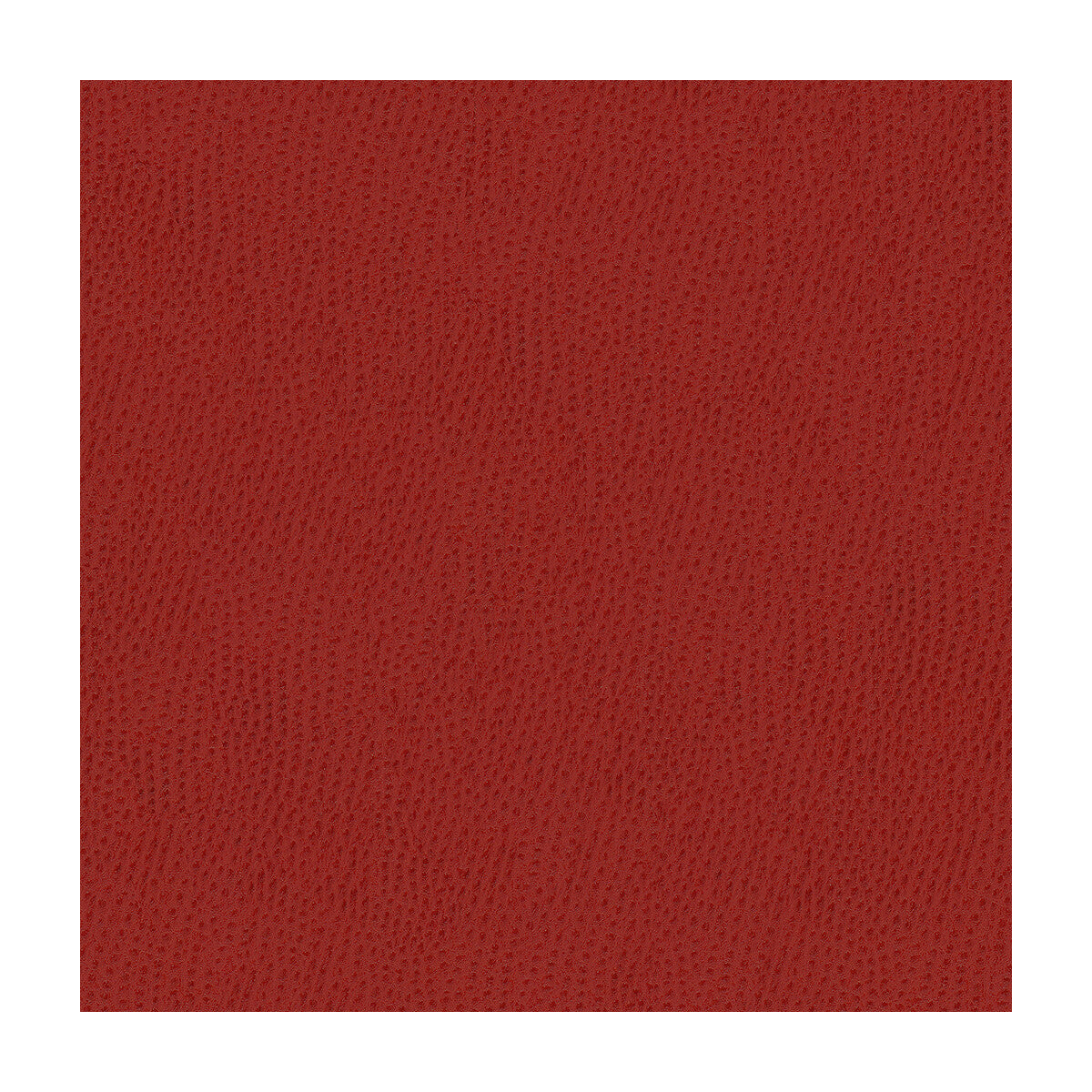 Kravet Contract-Belus-19